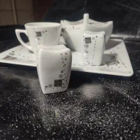 سرویس غذا خوری مناسب خانه اولی ها