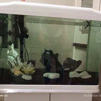 آکواریوم دلسا K580 با پایه