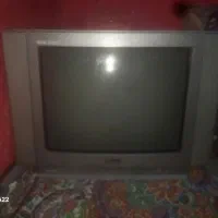 تلفزیون سالمه