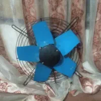 فن سالم وبی اراد