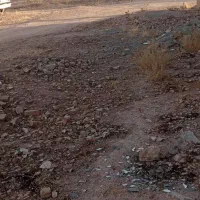 زمین کهریز|فروش زمین و ملک کلنگی|کرمانشاه, |دیوار