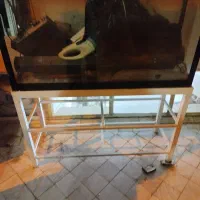 اکواریوم فروشی