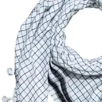 چفیه گمشده در مراسم تشییع آقای شهید