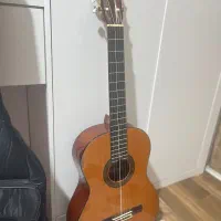 گیتار سالم