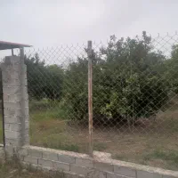 ۲۵۰ متر روستای قراخیل