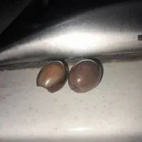 ۲سرباز سلیمانی شرط کار