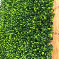 فروش انواع گرین وال (دیوار سبز مصنوعی)درب کارخانه