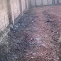 زمین با ۳متر دیوار مجوز دامداری و سوله