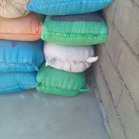 گندم ساورز