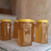عسل گَوَن طبیعی درجه یک دریاچه گهر لرستان