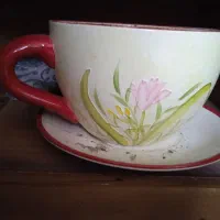 گلدون فنجونی که توش خاک هم هست