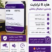 هارد 8 ترابایت وسترن دیجیتال بنفش (WD Purple)