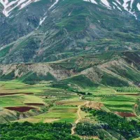 فروش یک قعطه باغ کنارجاده گلجار