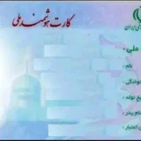 مدارک گمشده