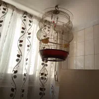 قفس بزرگ وزیبا پرنده