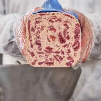 استخدام نیروی کار ساده