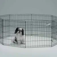 داگ پارک سگ و گربه