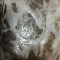 سبزی خوزستان