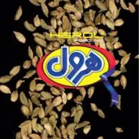 نیروی خانم