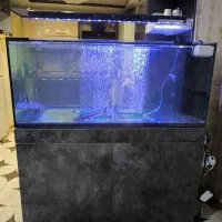 اکواریوم