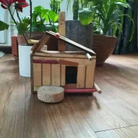 باسلام یک لانه پرنده. چوبی. کارکرده