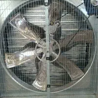 الکتروفن. الکتروژن