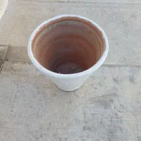 گلدان|گل و گیاه طبیعی|همدان, |دیوار