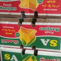 کارتن انبه