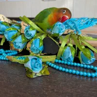 هدیه ای ماندگار برای روزه اولی ها