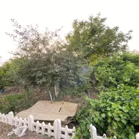 باغچه شهرکی سند دار باغی|فروش زمین و ملک کلنگی|تهران, کریم‌آباد|دیوار