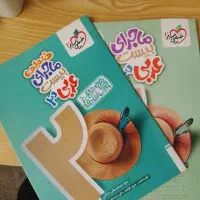 ماجرای بیست عربی دوازدهم