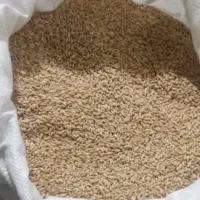 گندم درجه یک