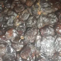 خرما قیمت مناسب شیره جات