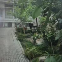 ملک-کلنگی