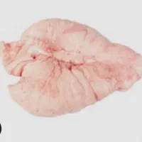 دنبه بره چرب نرینه