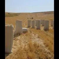 یک انبار کاه نخود
