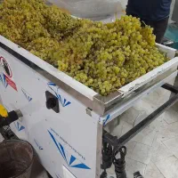 کسب درآمدبا دستگاه 400کیلو ۴کاره آب گیری غورهvلیمو