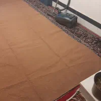 موکت