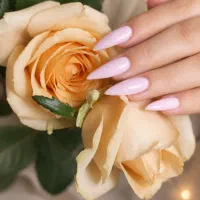 ژلیش ۱۹۹ تومن کاشت و ترمیم ۴۹۹ ولیعصر