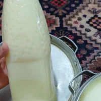 روغن گوسفند