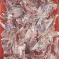 گردن واسکلت مرغ