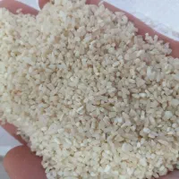 نیم دانه هاشمی خالص ودرجه یک