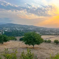فروش-یک-قطعه-زمین-مسکونی