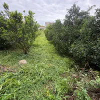 استخدام مشاور جذب خانم در املاک آمل - چمستان