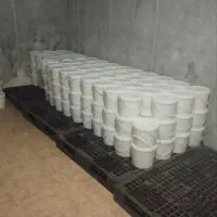 فروش پنیر لاکتیکی