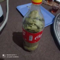برگ انگور آماده دونه 130