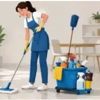 کار نظافت چی منزل