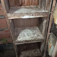 جفتگاه کفتر