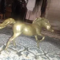 اسب