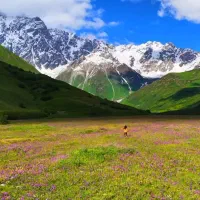 تهاتر زمین فریدونشهر سنددار چشمه شخصی با مسکونی
